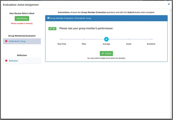 Group Member Evaluation